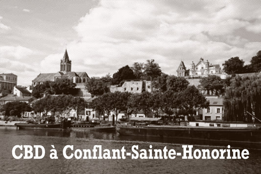 CBD La Green Magic Conflant-Sainte-Honorine