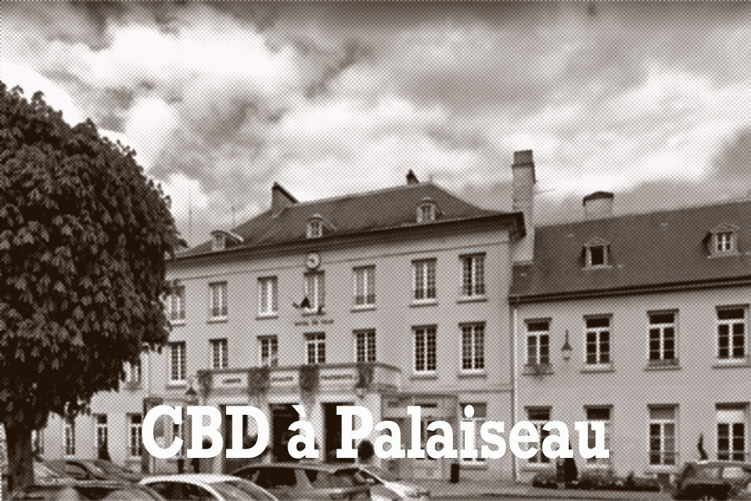 CBD à Palaiseau